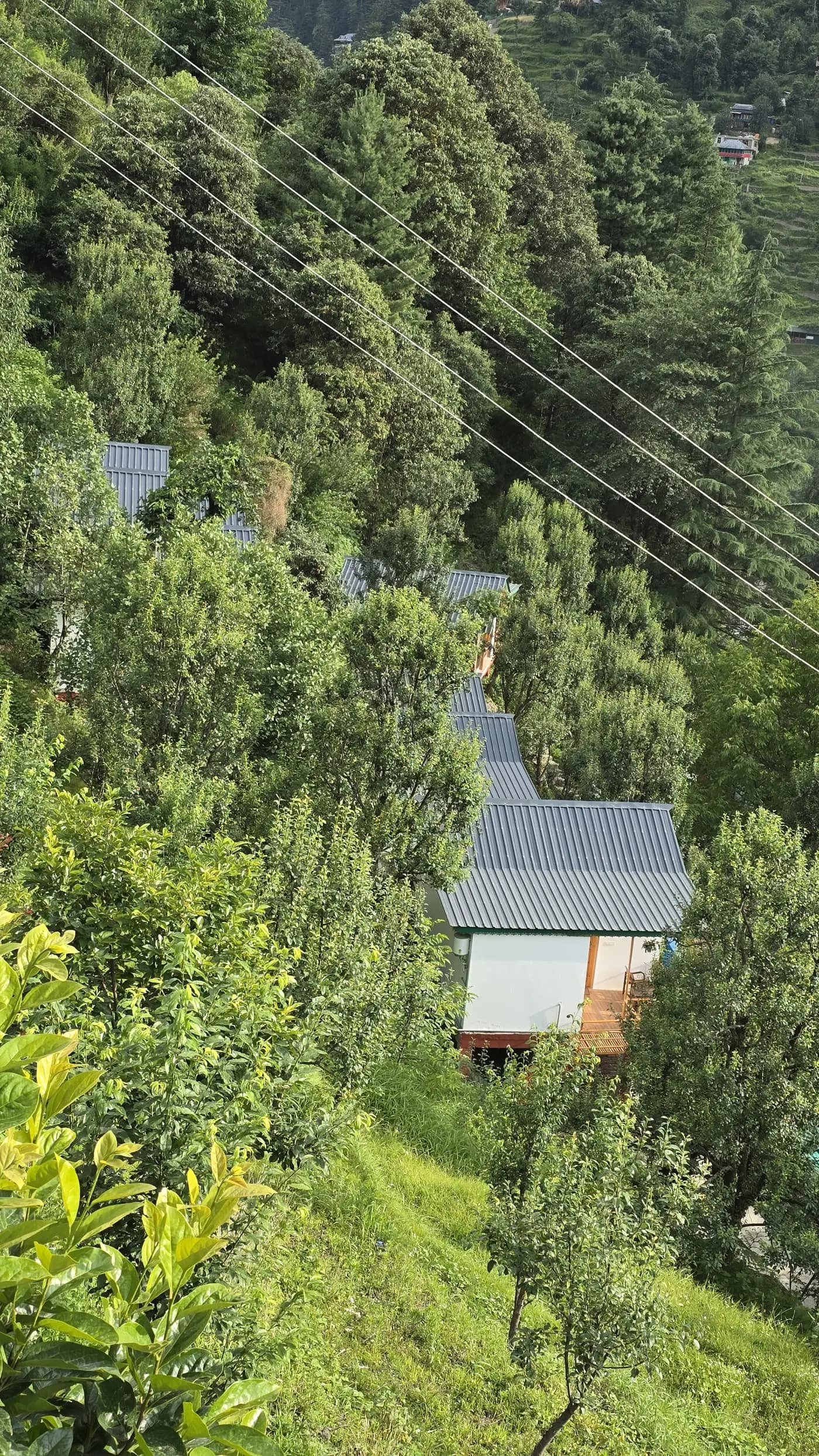 Acoustic Himalaya Cottages — photo 7